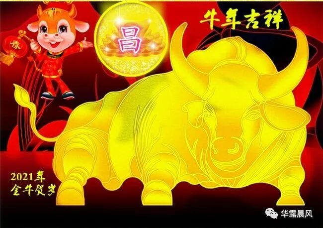 最新牛年姓氏头像二