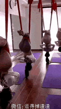 搞笑gif段子:如果不是上面的几个字,我肯定以为是大型