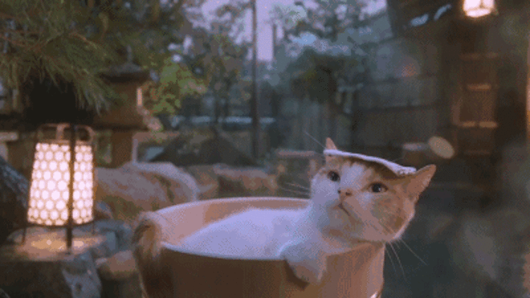 降温了,查收这一份泡汤温暖指南.