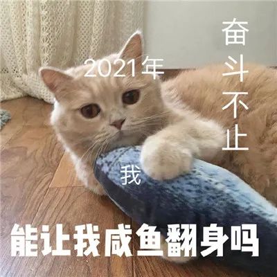 表情包2020再见2021我来了