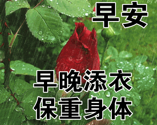 非常漂亮早安问候语图片唯美带字,微信早上好祝福语录