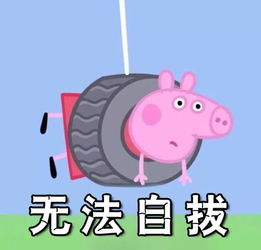 这几秒就没了 因为我是时间掠夺者 专门发一些无聊的东西浪费大家阅读