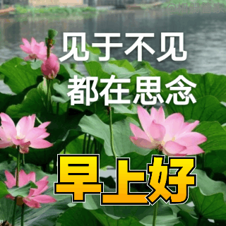 2021不用打字早上好表情包早安朋友注意保暖
