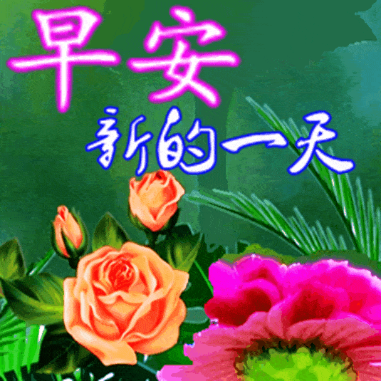 周四早上好问候图天气寒冷的早晨好暖心句子,冬天温暖
