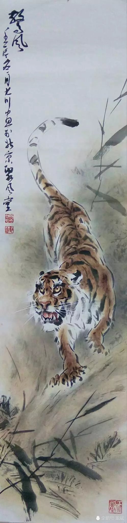 巩大川国画虎欣赏
