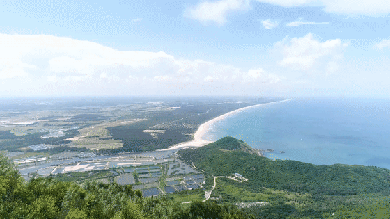海南文昌昌洒镇有多少人口_海南文昌龙楼镇月亮湾(3)
