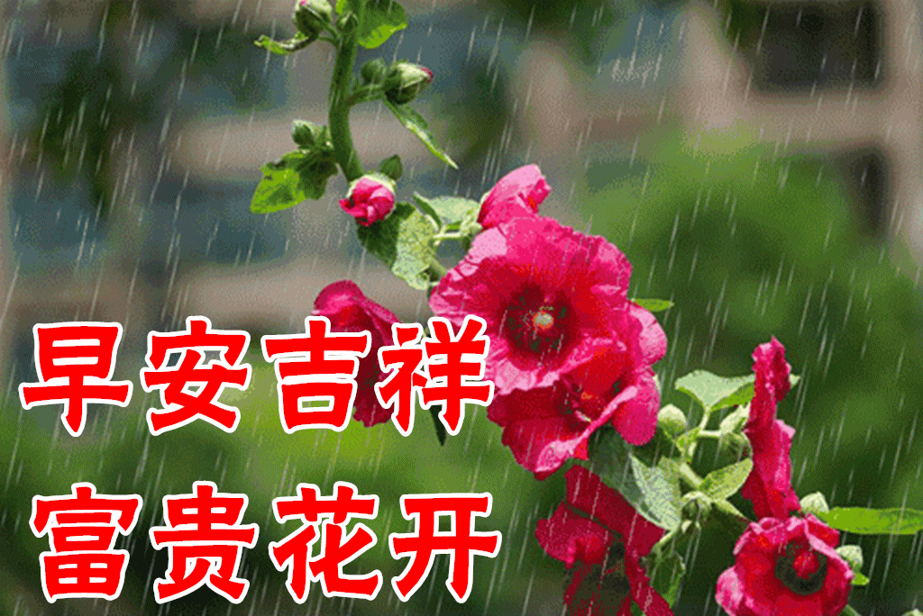4月14日最漂亮早上好动态表情图片大全,早晨好动图美图大全