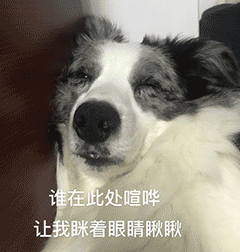 表情包你是不是外面有狗了