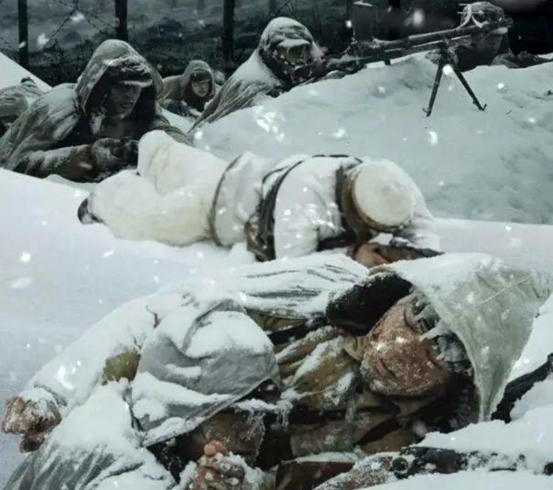 长津湖电影电影已完结在线完整免费观看1280p中字熟肉资源已完结