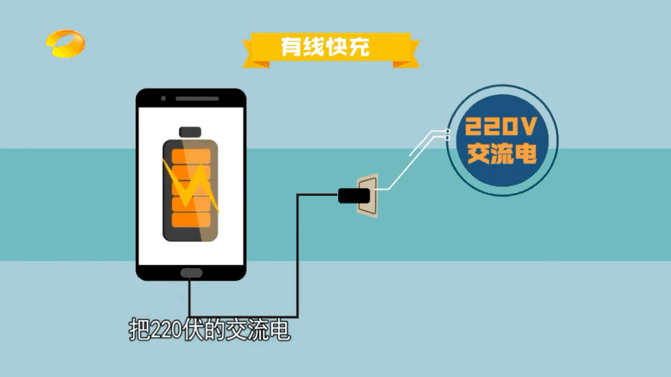 无线充电是什么原理 有没有问题_章鱼是什么有没有(3)