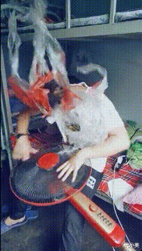 搞笑gif段子:小姐姐吃的啥东西,这表情可以生成表情包