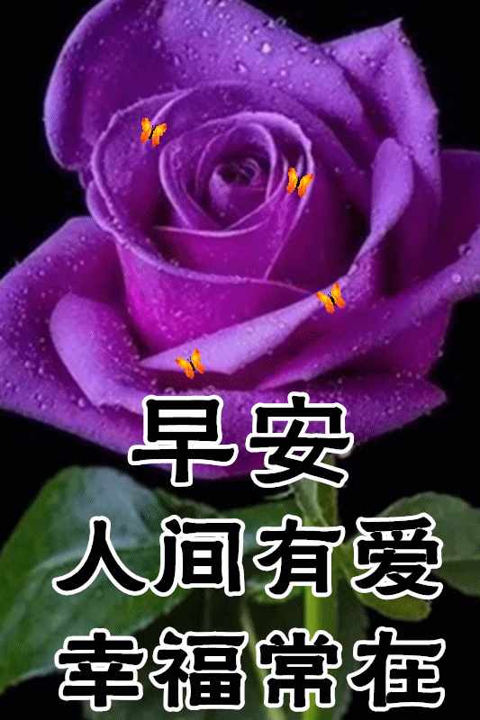 1月15日最漂亮早上好动态表情图片大全,早晨好动图美图大全