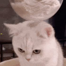 图片来源于网络侵删