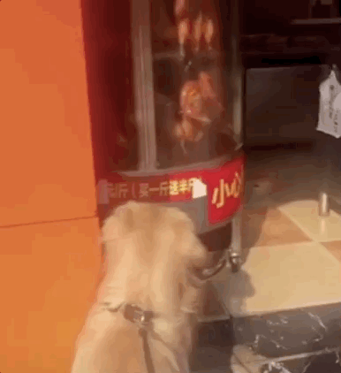 最近馒头店旁边新开了一家烤鸭店,里面有各色各样美味的肉食,别说是