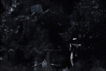 o-50上风马邂逅了格丽乔,这手足无措的反应像不像被时