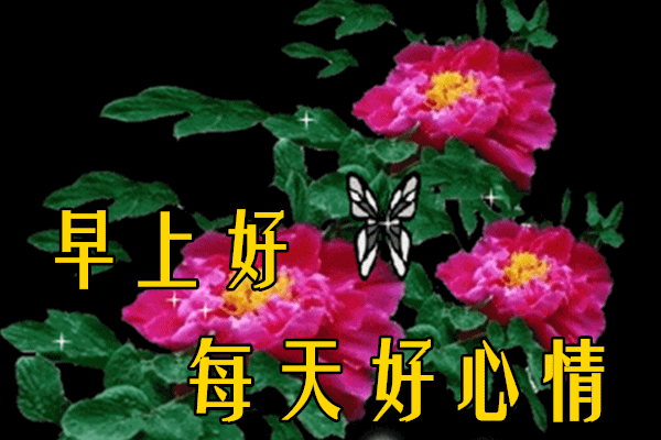 1月21日最漂亮早上好动态表情图片大全早晨好动图美图大全