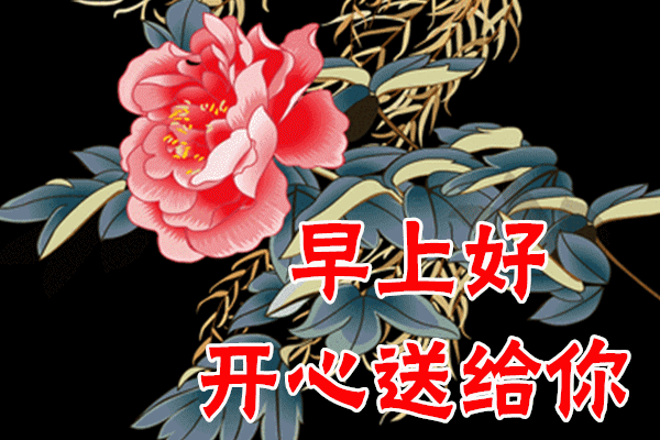 1月21日最漂亮早上好动态表情图片大全早晨好动图美图大全
