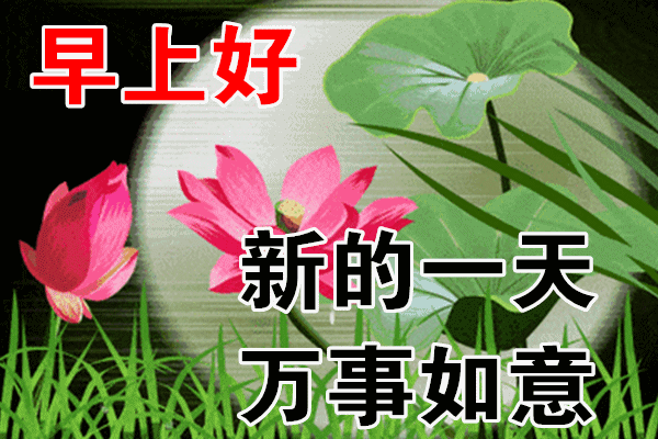 1月21日最漂亮早上好动态表情图片大全早晨好动图美图大全