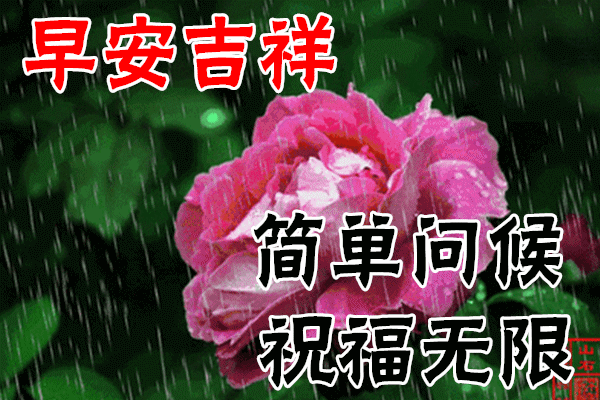 1月21日最漂亮早上好动态表情图片大全早晨好动图美图大全