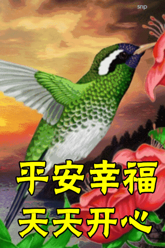 1月22日最漂亮早上好动态表情图片大全,早晨好动图美图大全