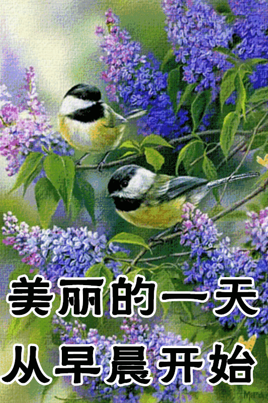 1月22日最漂亮早上好动态表情图片大全,早晨好动图美图大全