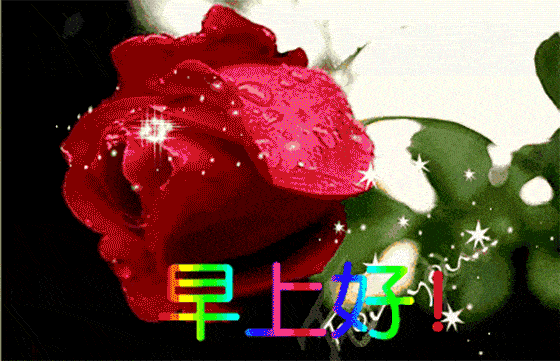 早上好朋友,清晨早安慰问朋友暖心幸福语录,早安问候语图片动态表情