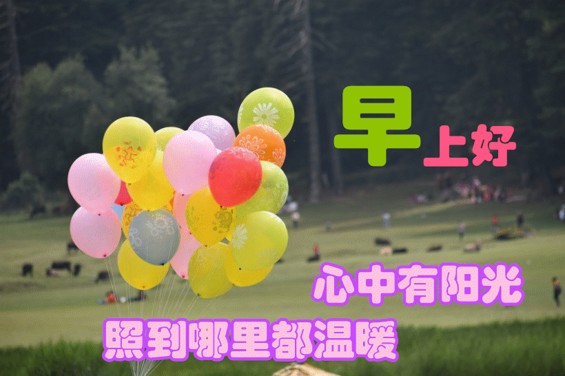 1月22日最漂亮早上好动态表情图片大全,早上好动图美图大全