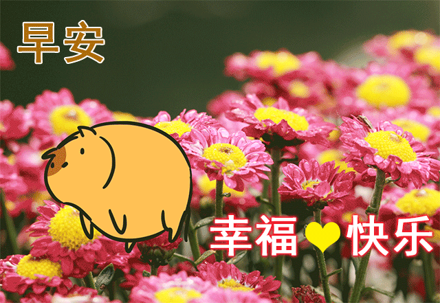 早安问候动漫鲜花表情 早晨好暖心问候语