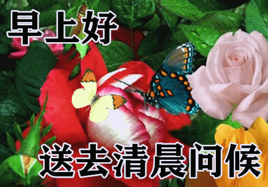 1月24日最漂亮早上好动态表情图片大全,早晨好动图美图大全
