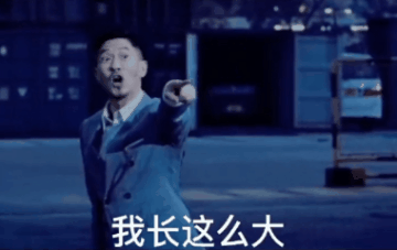 表情包:表情包,轻舟参差见,嗜酒尚迟回