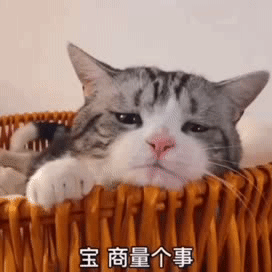 表情包丨可爱日常沙雕表情包动图gif
