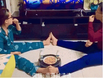 搞笑gif段子:看什么看,快给朕准备小鱼干去