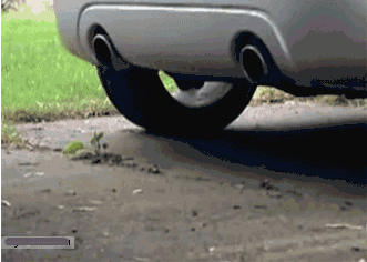 这只老鼠是把排气筒当家了吧 gif gif gif gif 精选内涵段子 1.