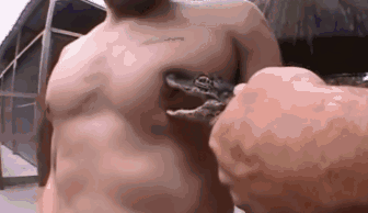 冰箱姐GIF：姑娘弯腰捡东西，大哥你在后面干嘛！小心被抓