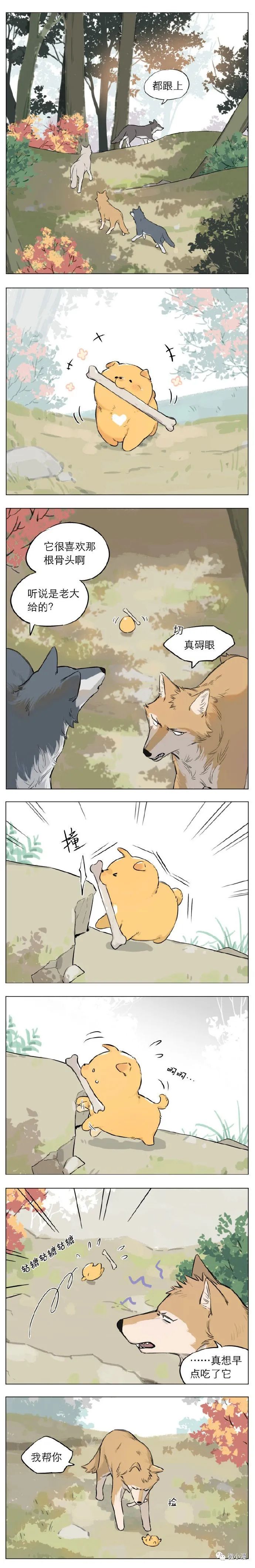 一篇超级暖萌的小漫画狼王我这是在干什么