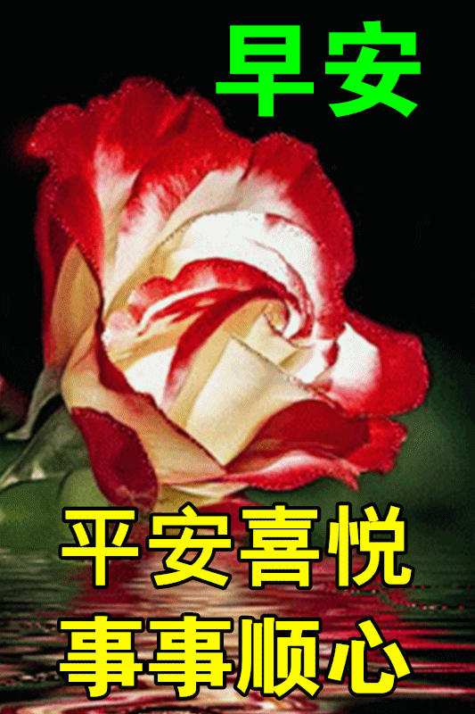 早安问候动漫鲜花表情 早晨好暖心问候语