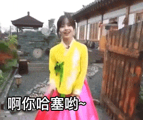 央视美女王冰冰表情包