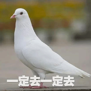 表情包丨都说知道了还唧唧歪歪