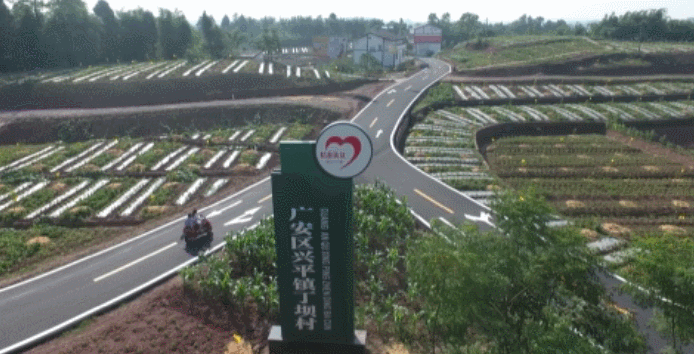 兴平市人均_兴平市街道图片(2)
