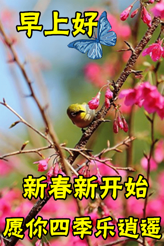 2月3日立春最漂亮早上好动态表情图片大全,早晨好动