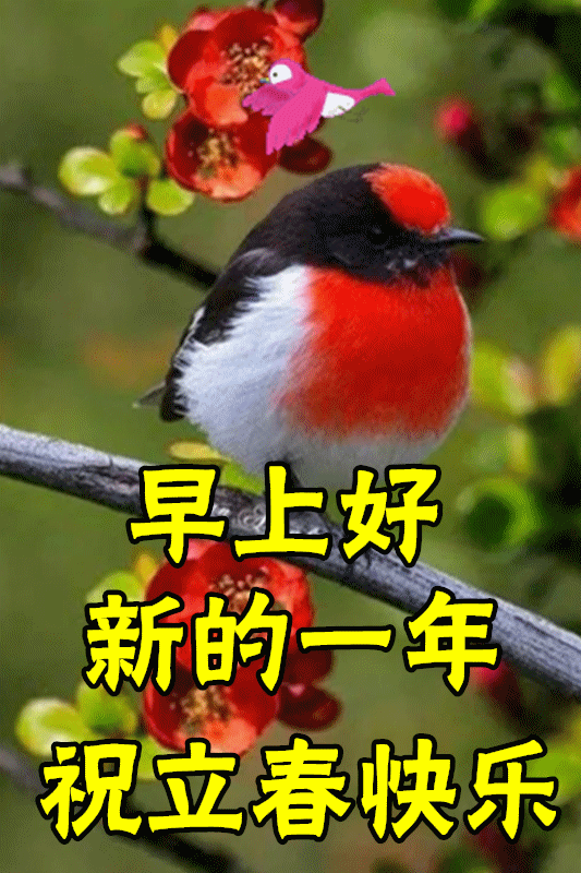 2月3日立春最漂亮早上好动态表情图片大全,早晨好动