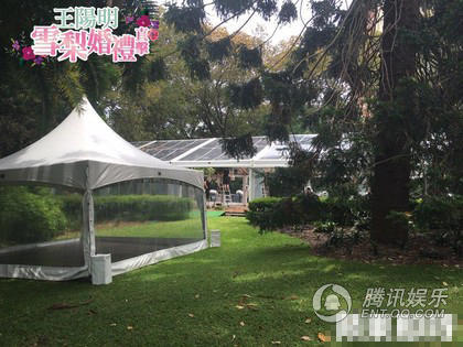 王阳明蔡诗芸今日悉尼大婚 现场曝光
