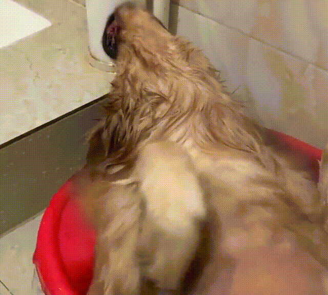 搞笑段子剧,要想日子过融洽,脸上都得来两下