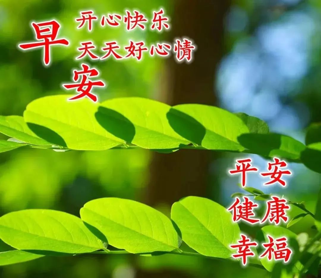 2021年2月4日周四清晨早上好问候祝福动态表情图片2021最新早安问候语