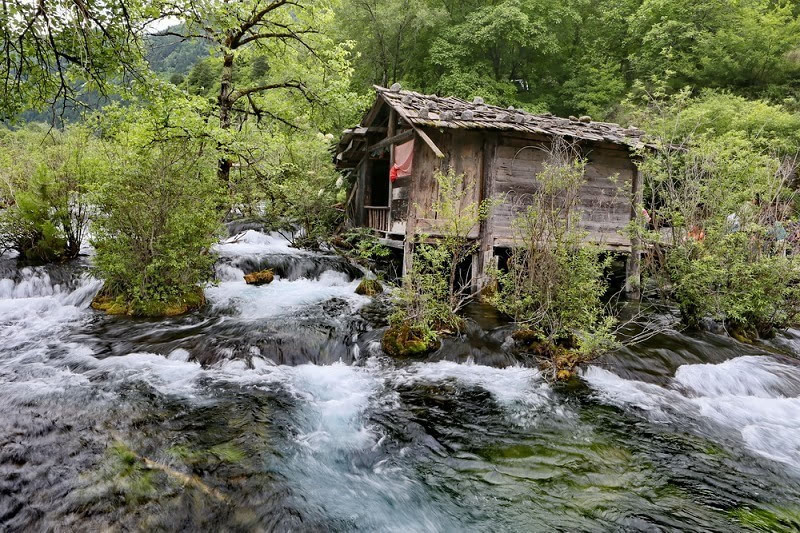 夏季去九寨沟看水，心都凉透了