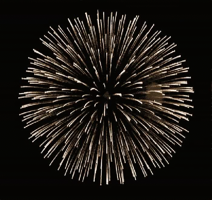 过年了 又到了烟花爆竹的销售旺季