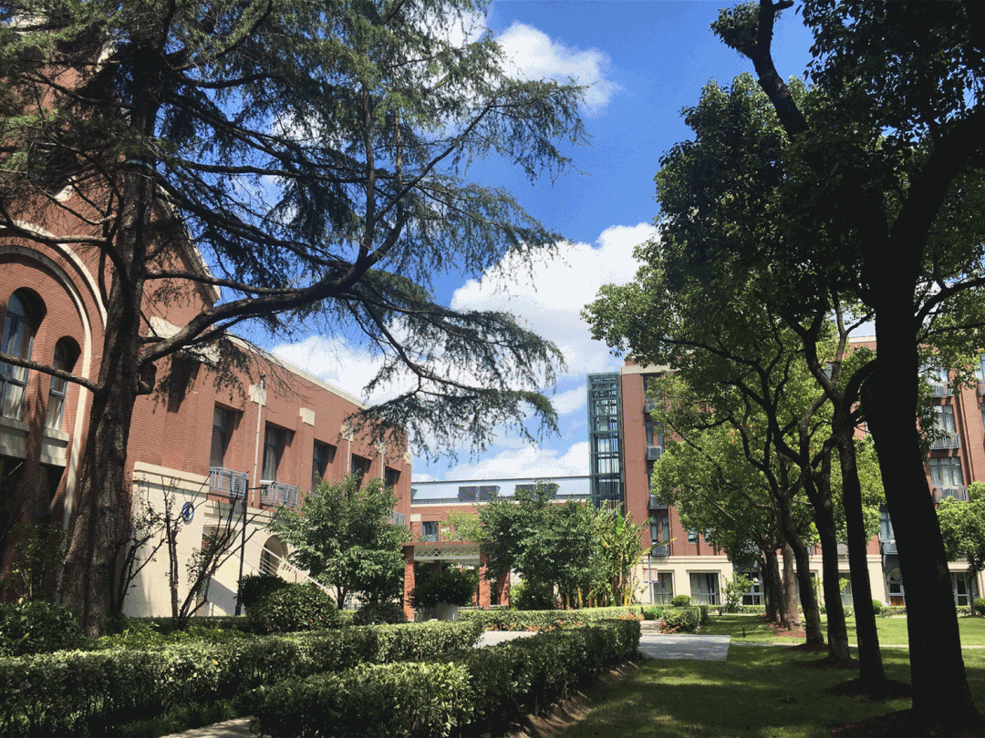 上海音乐学院实验学校坐落于新江湾城,占地面积50亩,校园种植养护
