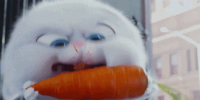 400_201gif 动态图 动图