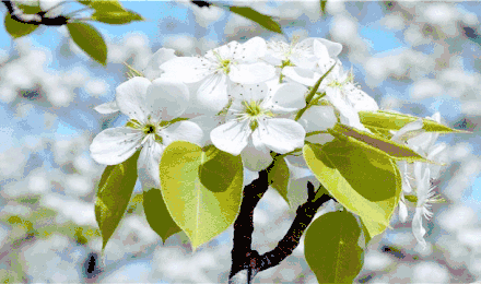 阳光明媚,天气暖和了,大地苏醒了,人们换下了冬装.