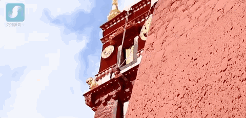 15个冷知识有趣又真实存在第13个很多人都不完全知道